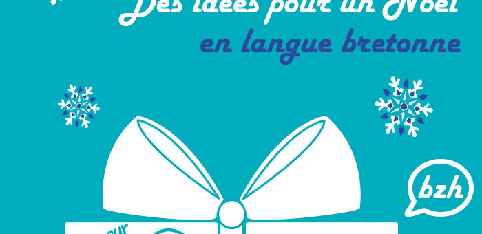 profoù Nedeleg e brezhoneg cadeaux de noël en langue bretonne